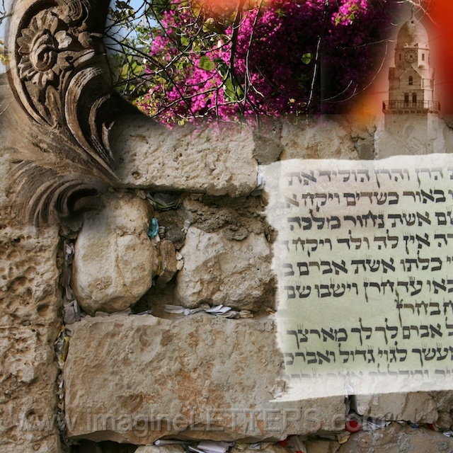 Wall_Art_Alphabet_Photography_Art_ 1137.jpg